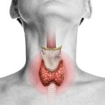 Benefits of healthy thyroid in men