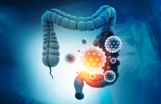 healthy gut microbiome